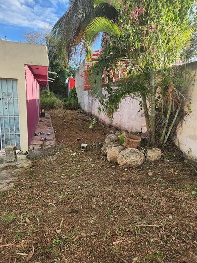 5 de 15: Pasillos entre la casa y el fondeo del predio
