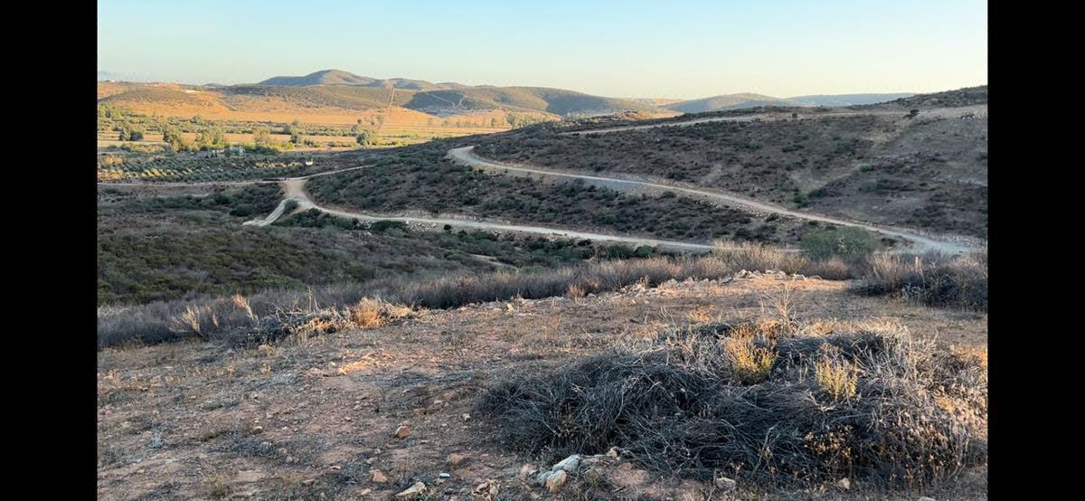 Terreno en Venta Atrás de Viñedo Frida, Valle de Guadalupe