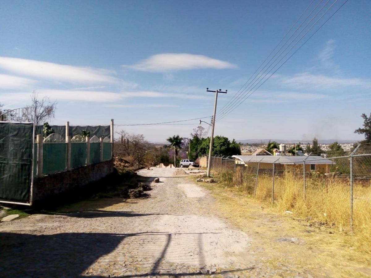 3 de 6