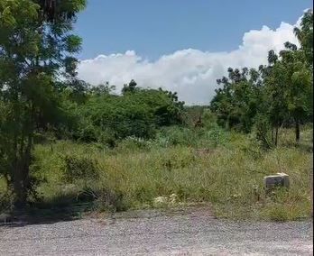 1 de 11