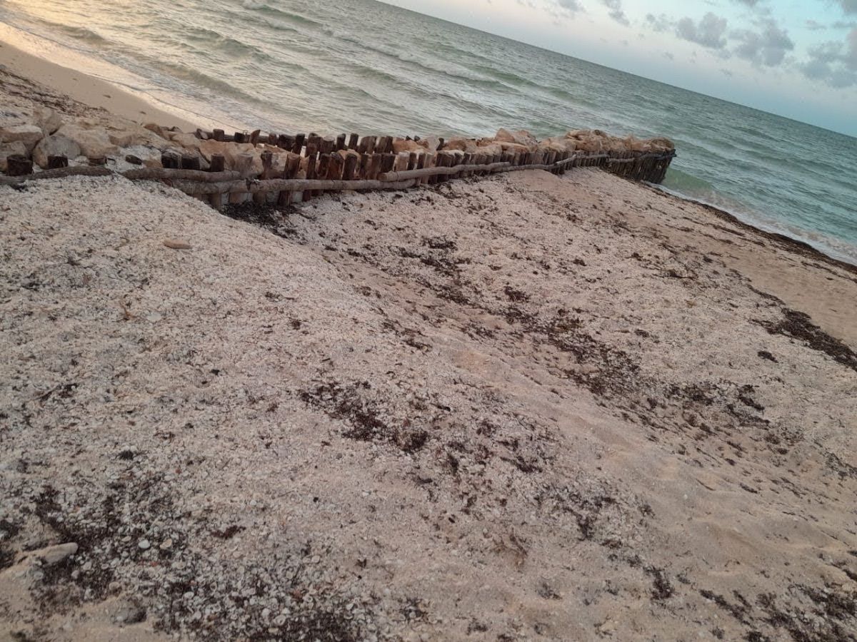 Terreno en Venta Frente al Mar con 20 Ml en Chuburná Puerto en Mérida Yucatán