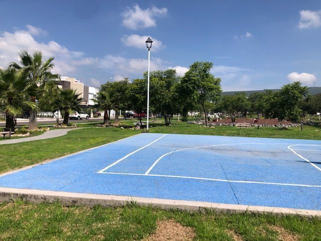 6 de 17
