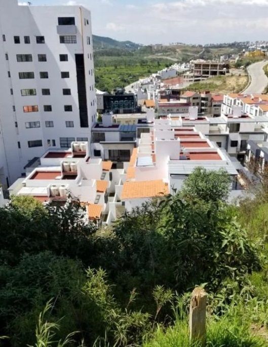 5 de 6
