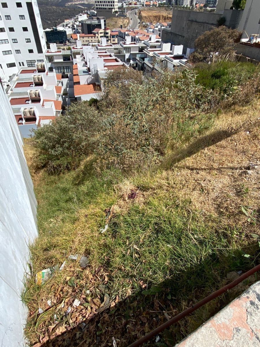 4 de 6