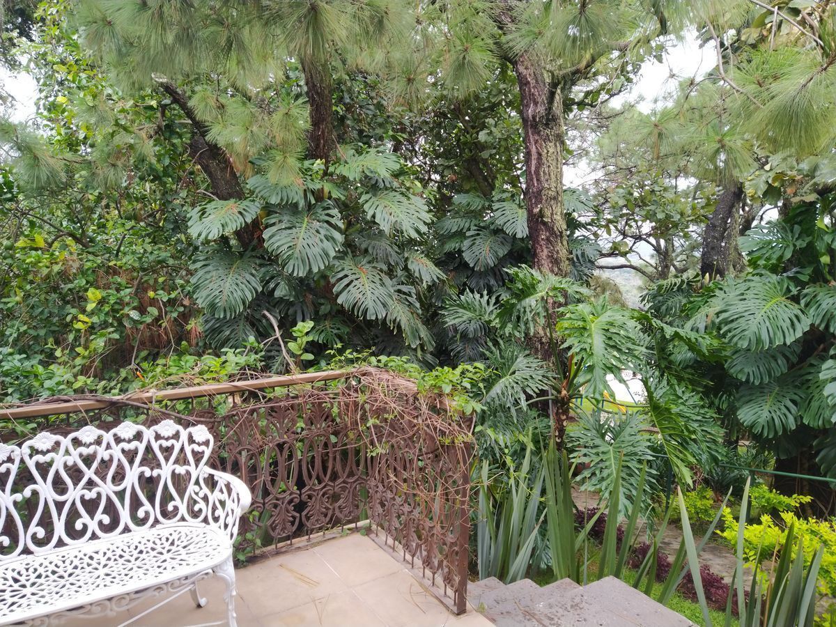 Jardines