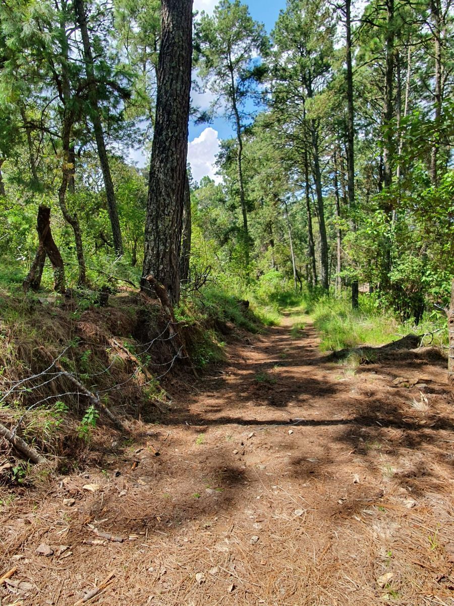 Terreno en venta lomas de la cañada tapalpa jalisco