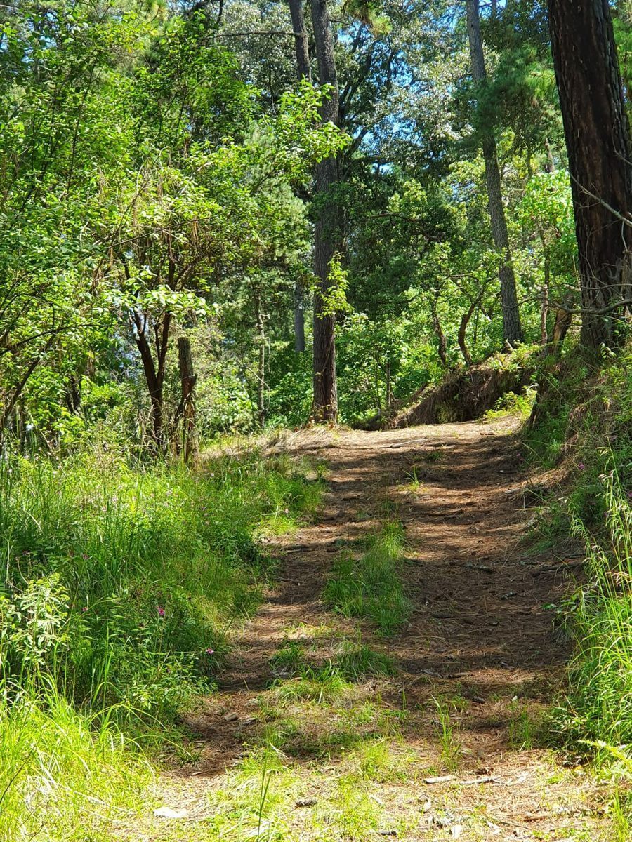 Terreno en venta lomas de la cañada tapalpa jalisco