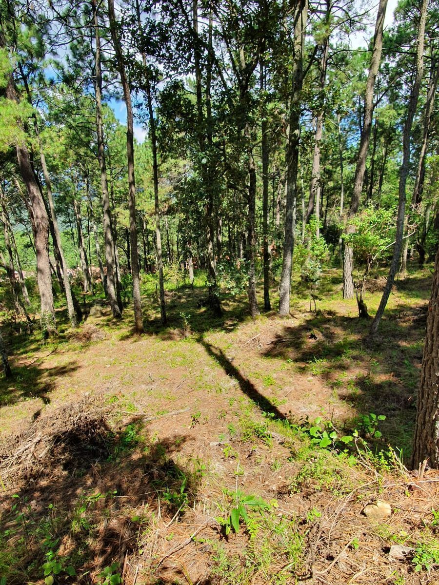 Terreno en venta lomas de la cañada tapalpa jalisco