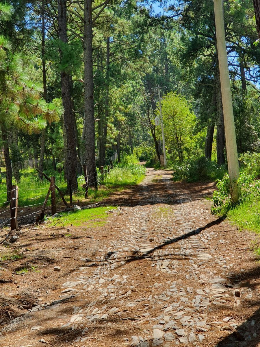 Terreno en venta lomas de la cañada tapalpa jalisco