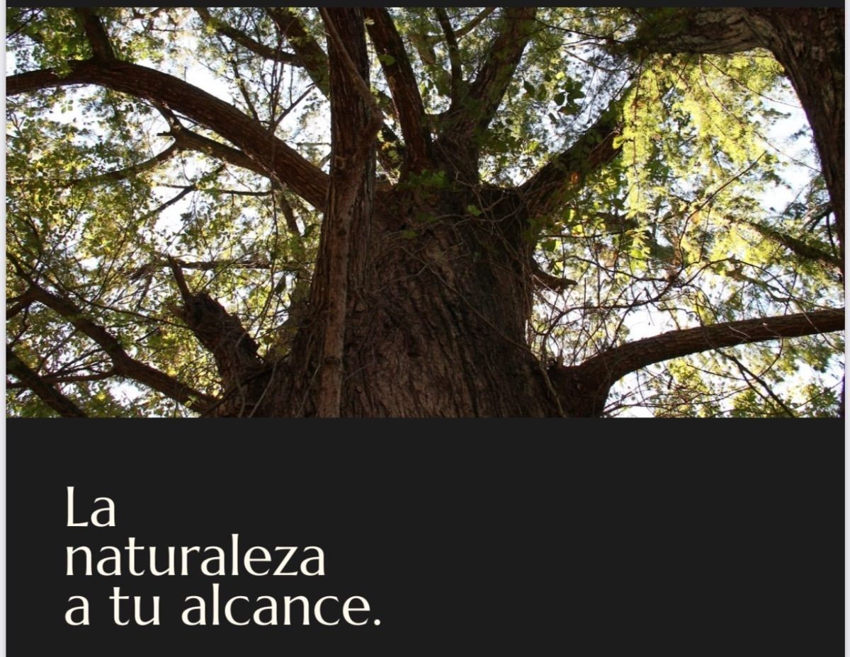 2 de 5