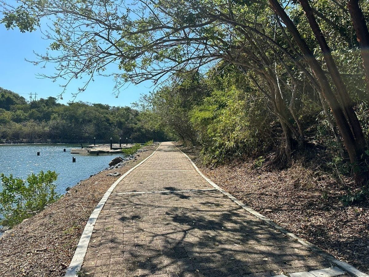 Terreno en venta en la Marina Ixtapa