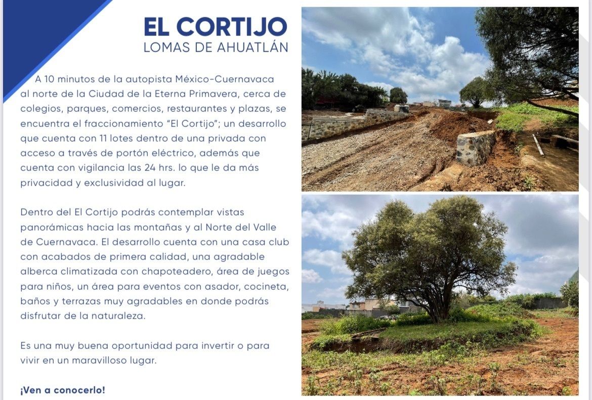 Imagen 5 de 8