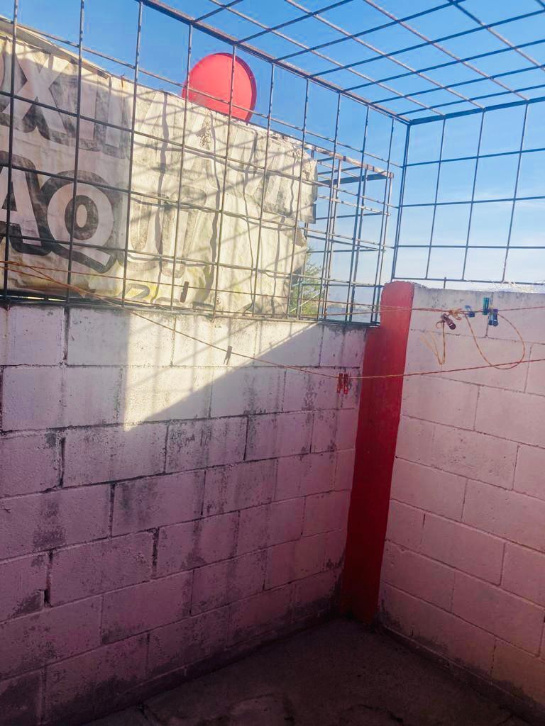 4 de 6: Patio trasero