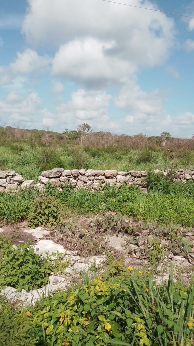 Terreno  en venta en Chicxulub Pueblo, Yucatán