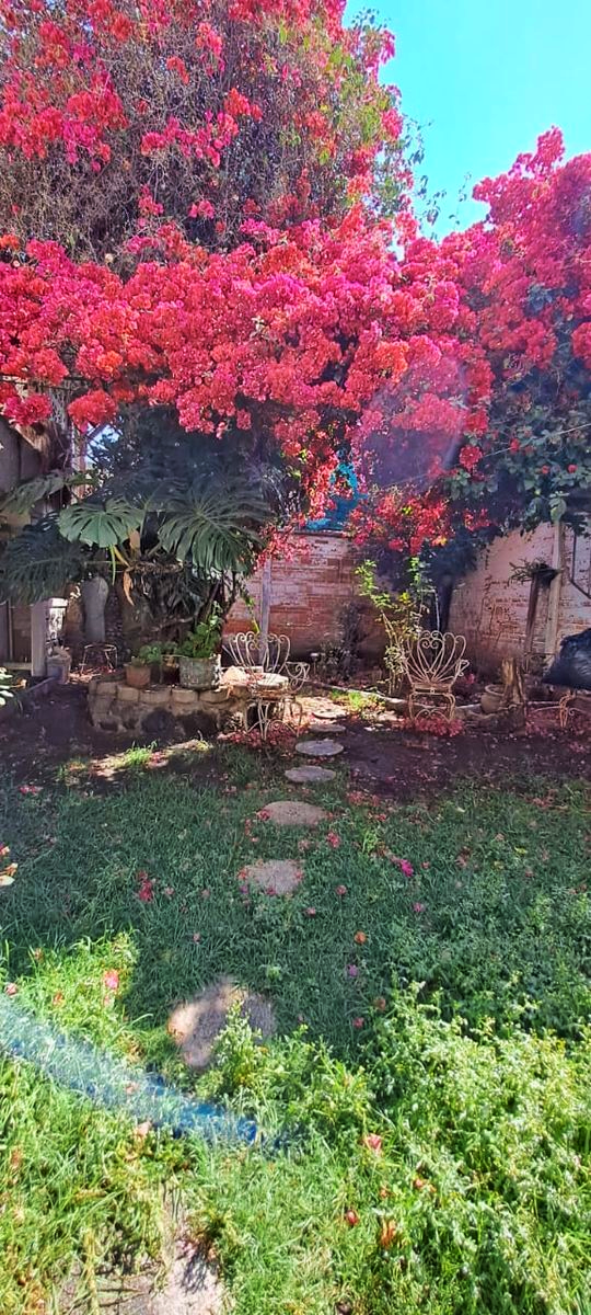 26 de 27