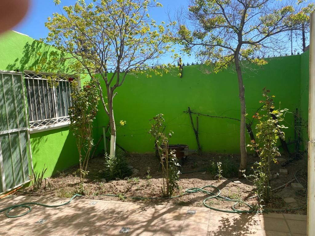 3 de 12: Jardín junto a cochera