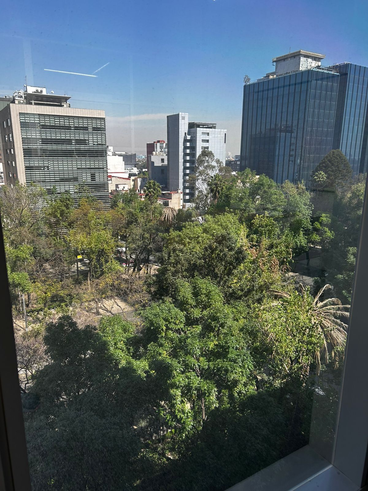 14 de 17
