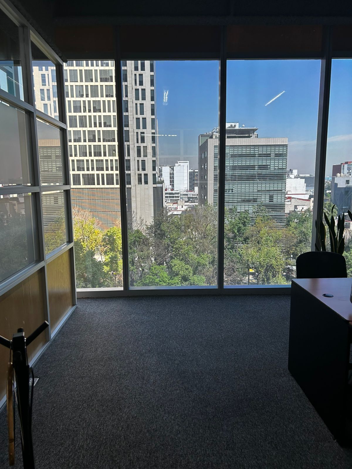 11 de 17