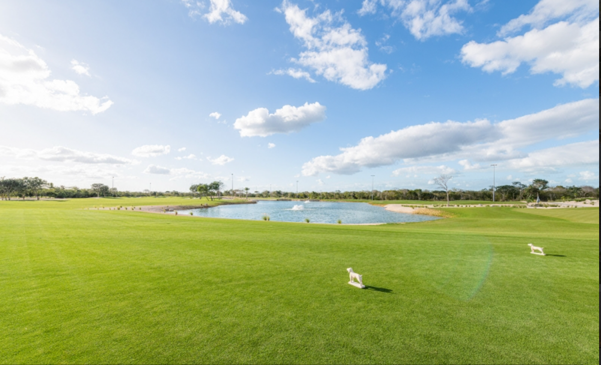 Terreno en venta en el club de golf Provincia, Mérida, Yucatán.