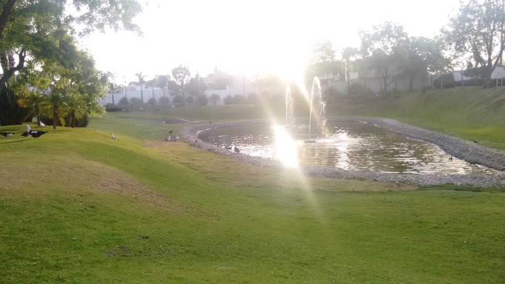 22 de 23