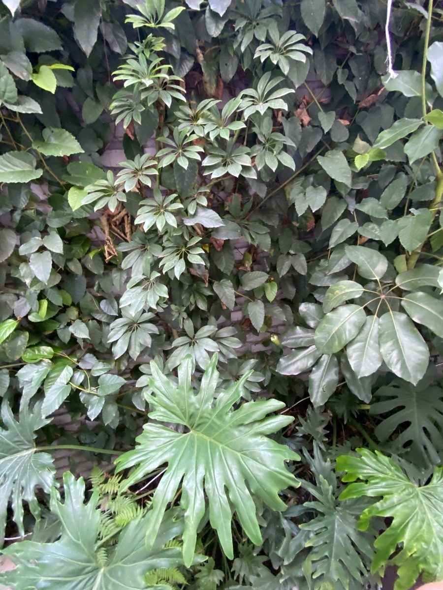 4 de 35