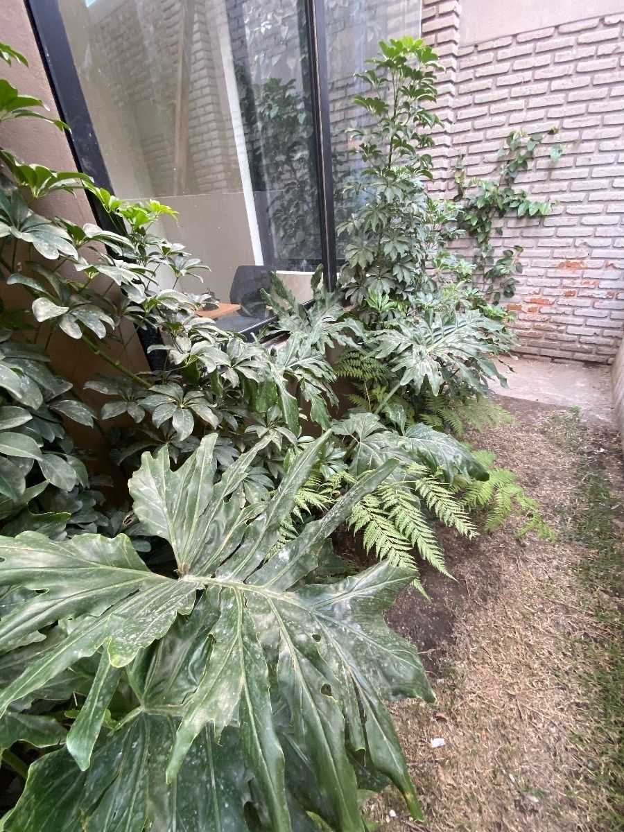 8 de 35