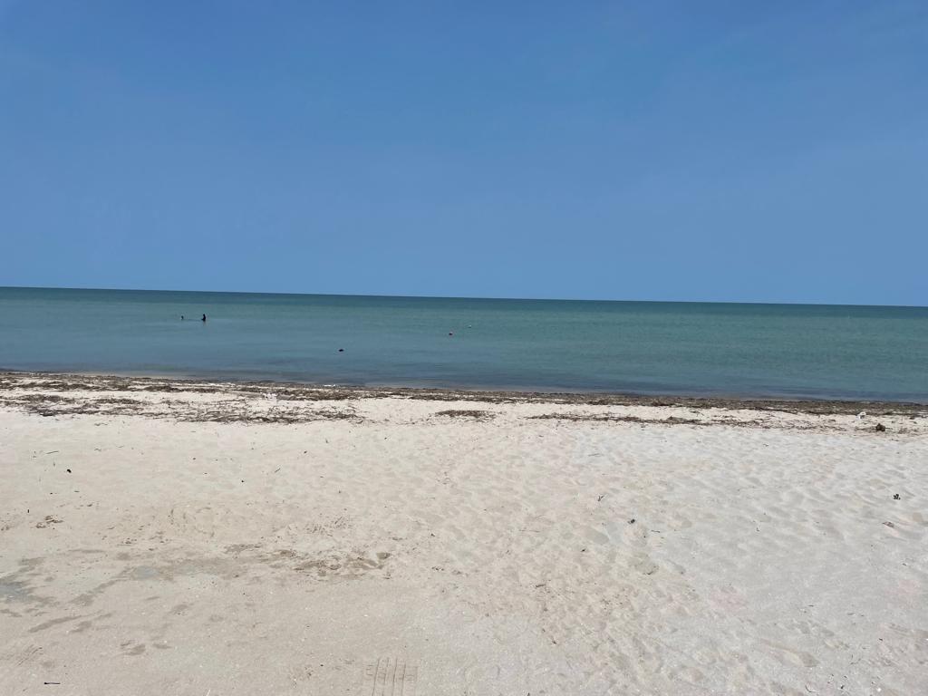 5 de 15