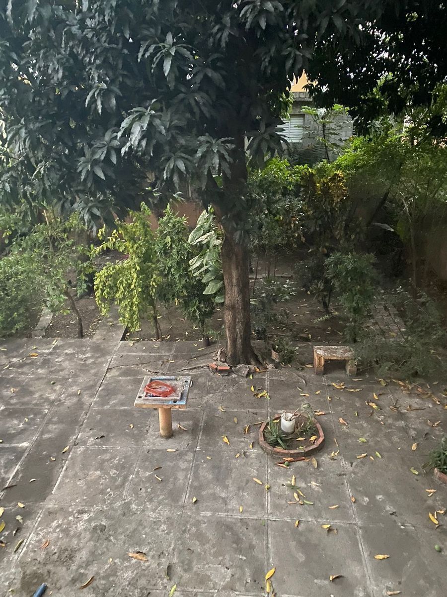 10 de 24: patio