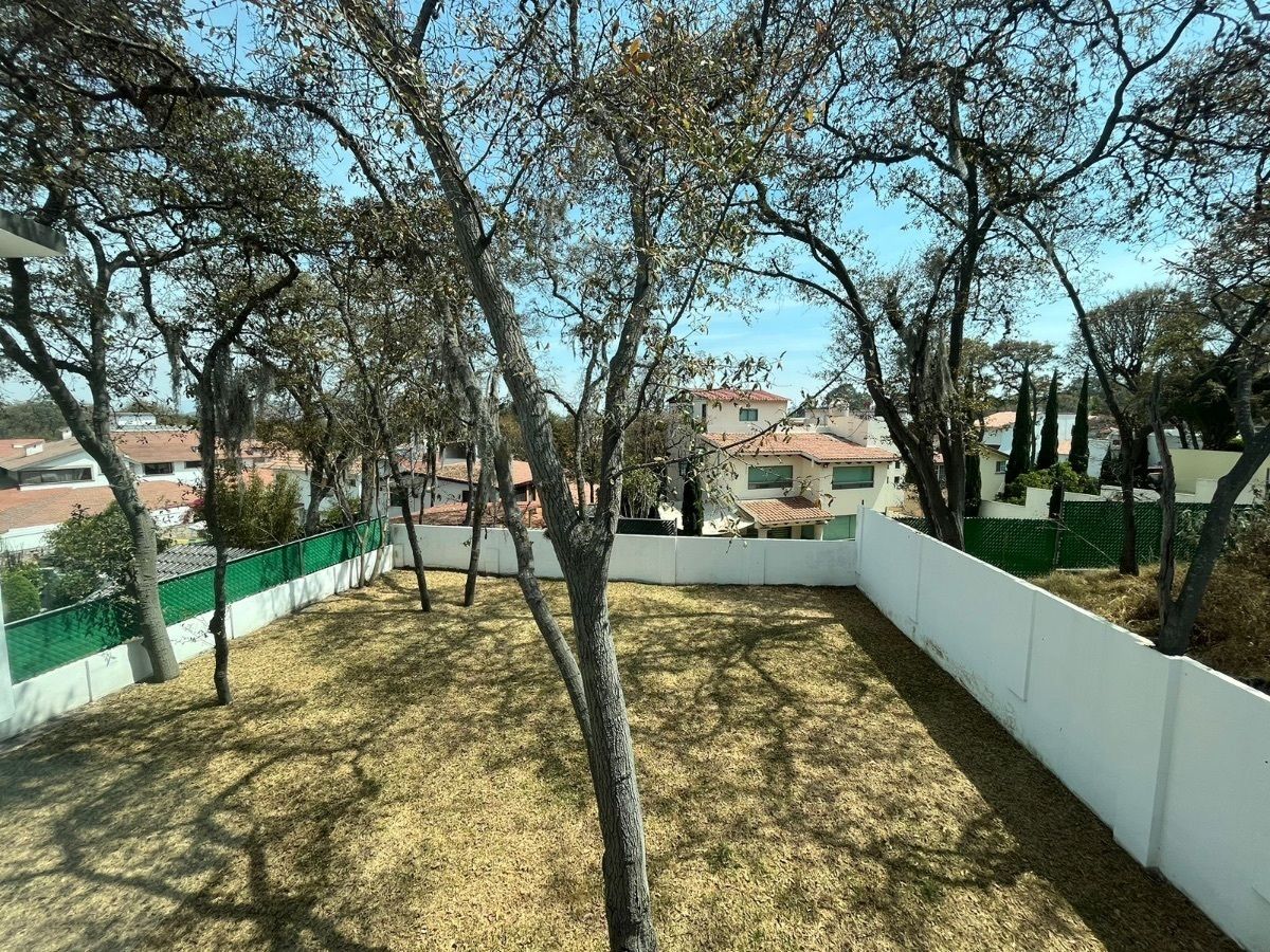 7 de 14
