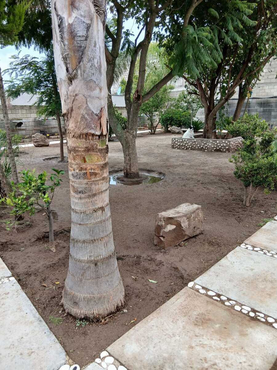 SE REMATA PROPIEDAD EN QUERETARO - foto 5