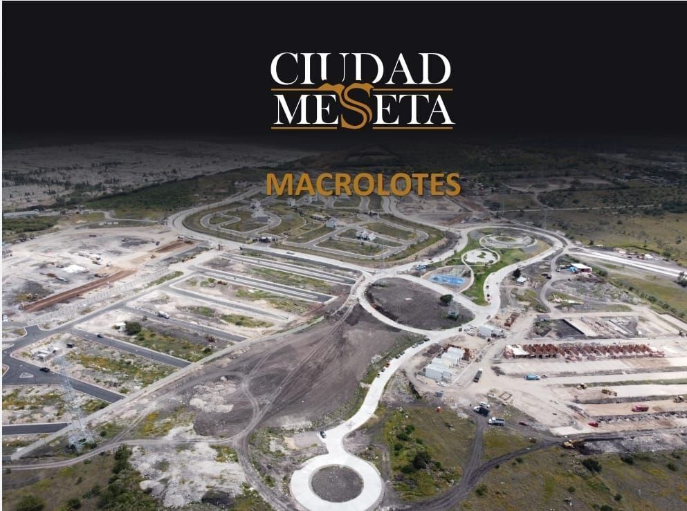 Macrolotes Messeta, foto 1 de 12