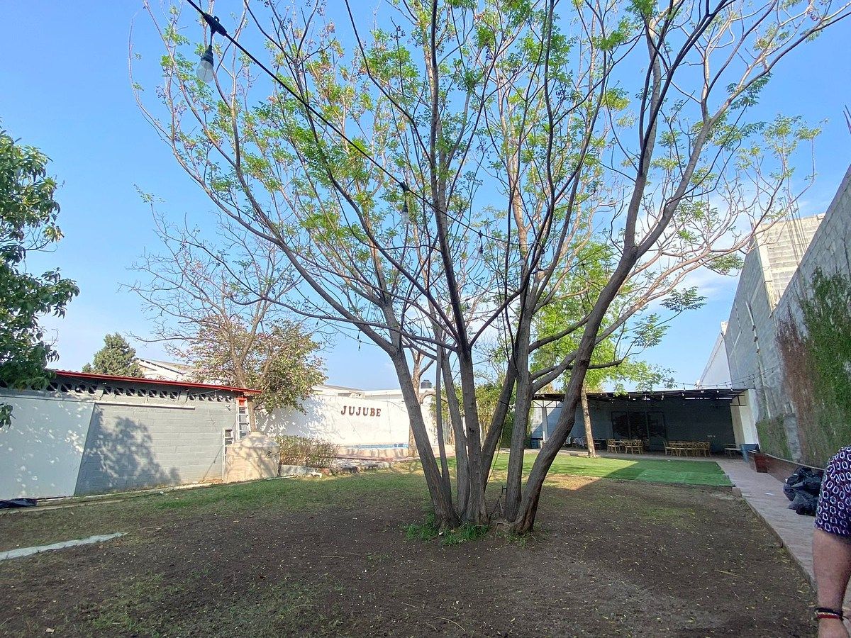 Quinta en Nuevo Almaguer, Guadalupe, foto 5 de 9