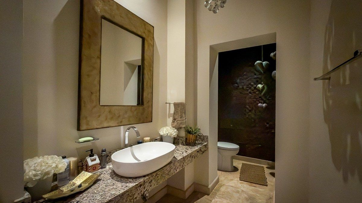 Baño visitas, foto 20 de 24