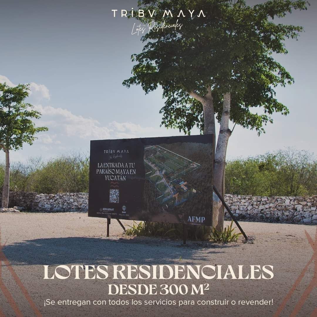 3 de 11