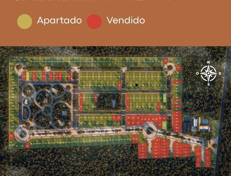 5 de 11