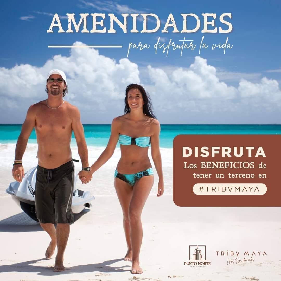 10 de 11