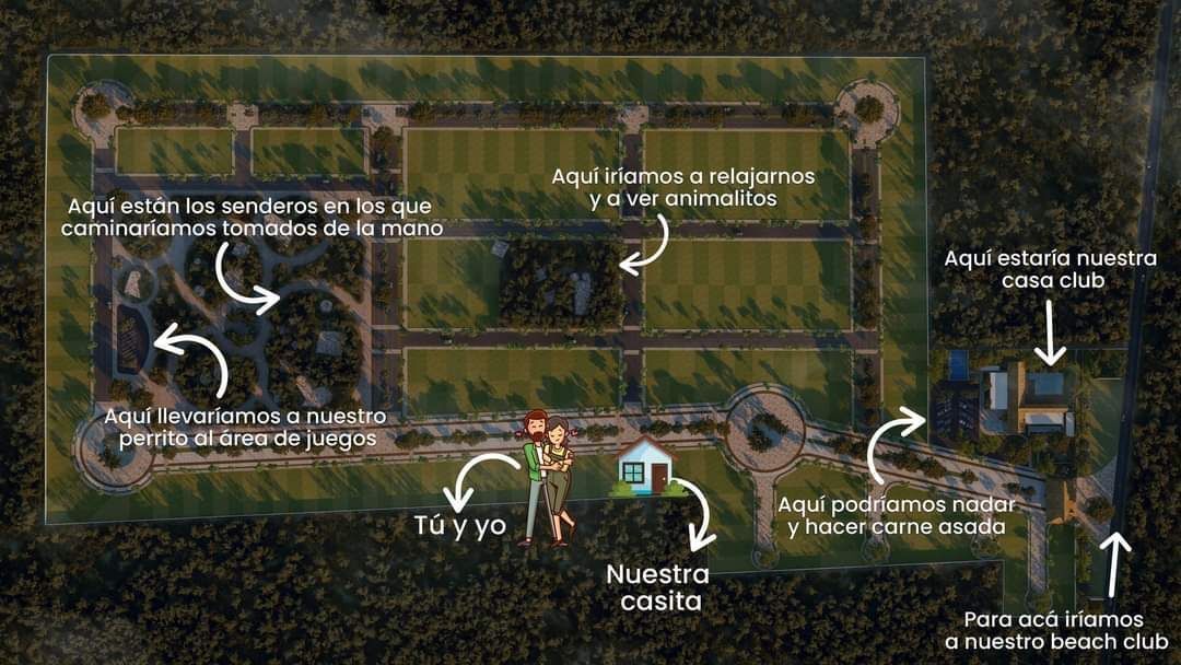 7 de 11