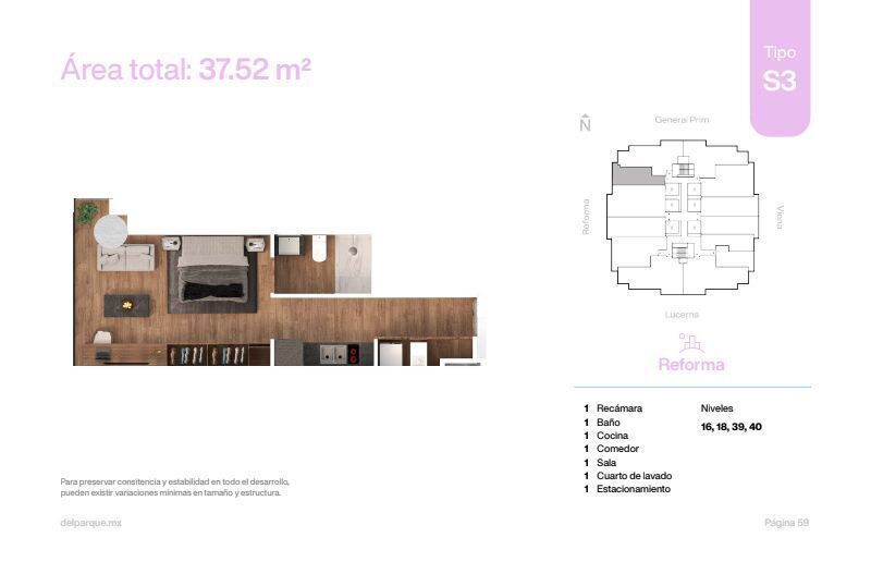 4 de 13: Planta
