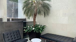 35 de 40: Lobby/ area común