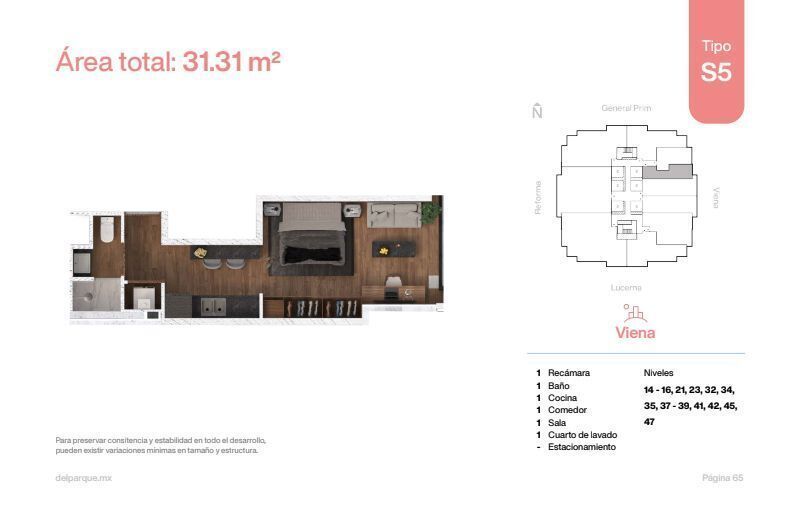 2 de 6: Planta