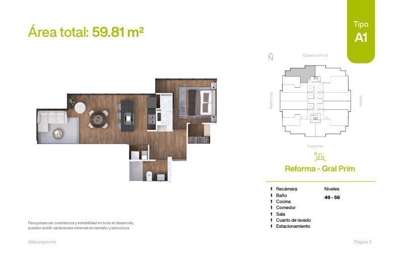 4 de 15: Planta
