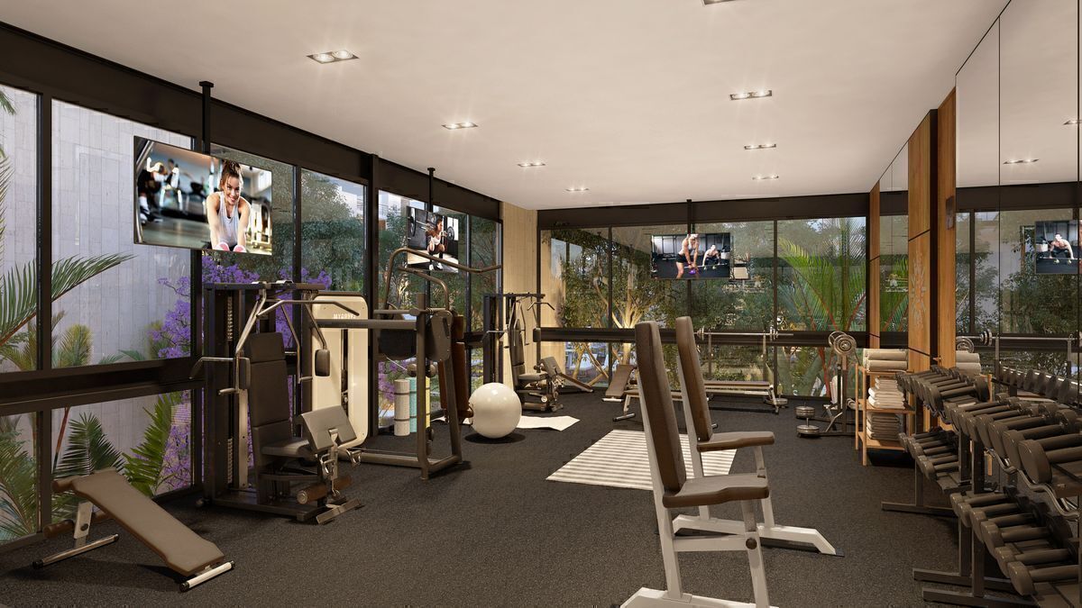 11 de 12: Gimnasio
