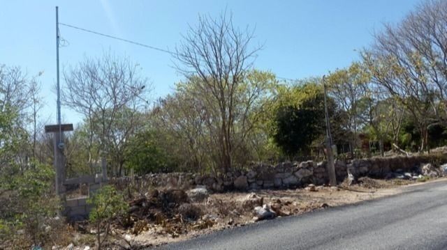 8 de 19