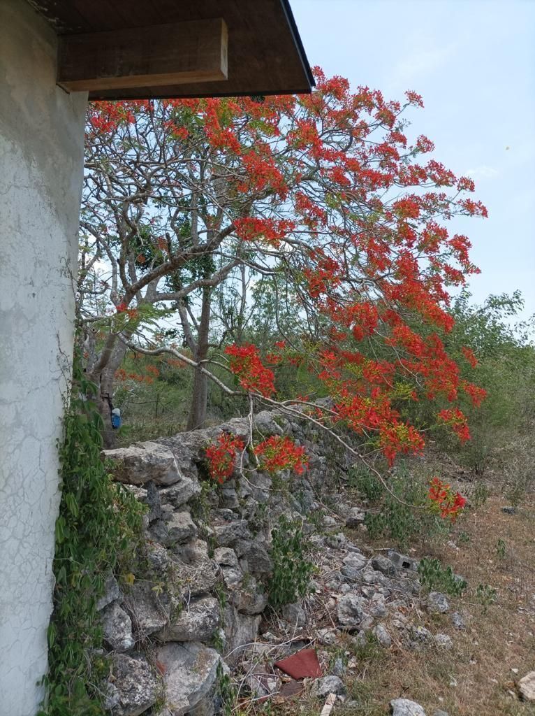 10 de 34