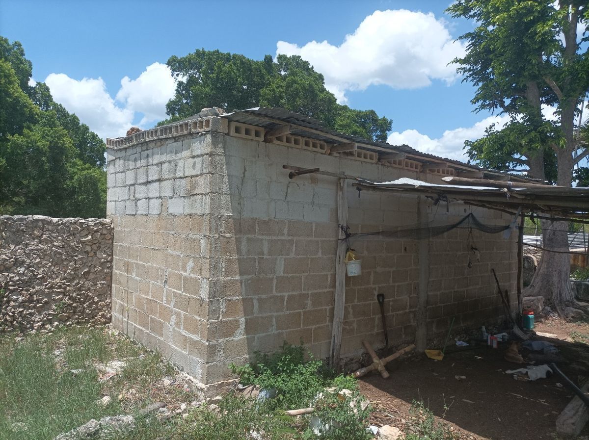 17 de 34: Bodega