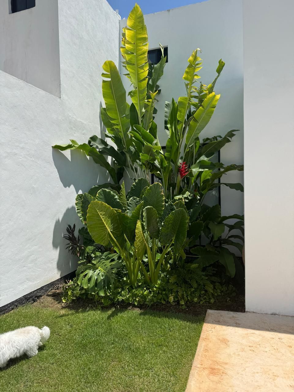 14 de 20