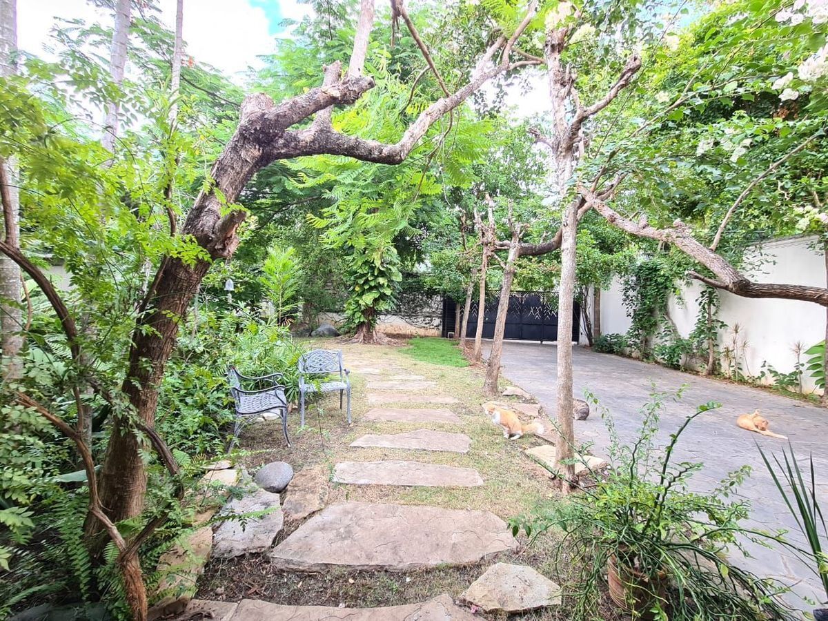 15 de 20: Patio frontal 