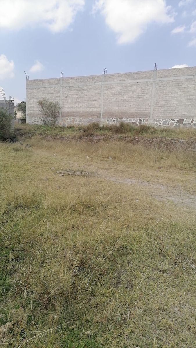 Imagen 7 de 10