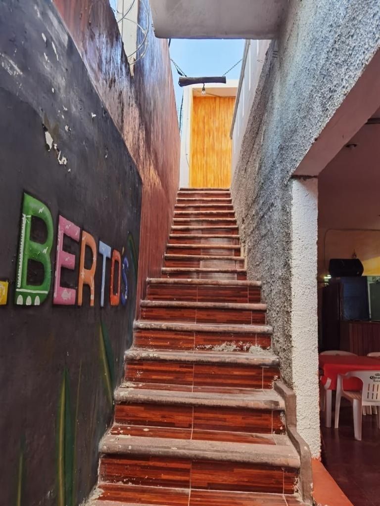 4 de 8