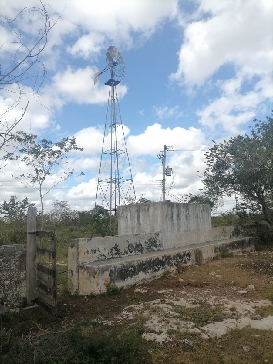 2 de 14